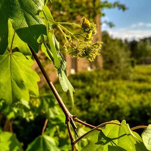IMG_20191025_035356.jpg