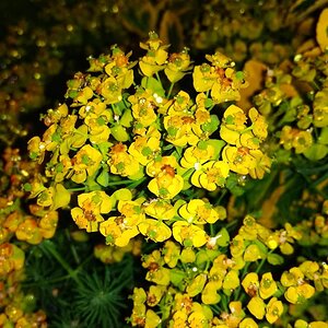 IMG_20191025_035344.jpg