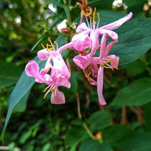 IMG_20191025_035349.jpg