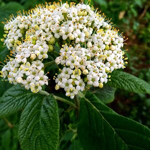 IMG_20191025_035404.jpg