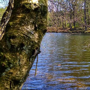 IMG_20191027_121822.jpg