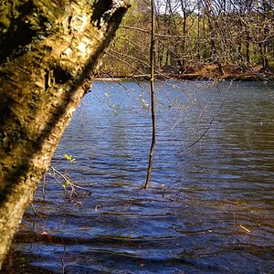IMG_20191027_121824.jpg