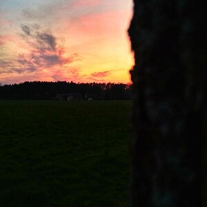IMG_20191027_121833.jpg