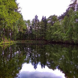 IMG_20191027_121816.jpg