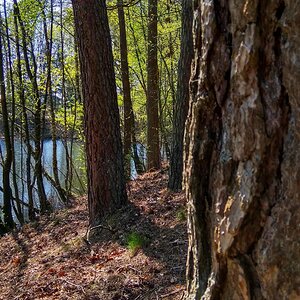 IMG_20191027_121831.jpg
