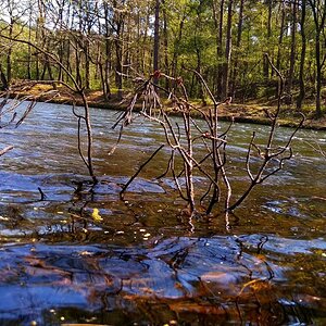 IMG_20191027_121819.jpg
