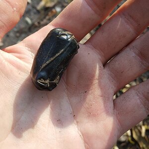 IMG_20191102_125424.jpg