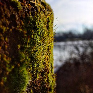 IMG_20191228_133931-01.jpeg