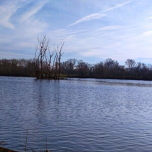 IMG_20191228_135729_1-01.jpeg