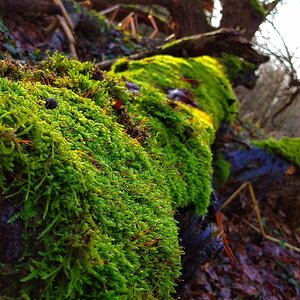 IMG_20191228_135045-01.jpeg