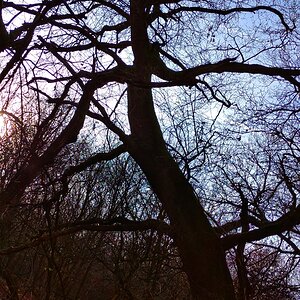 IMG_20191228_134956_1-01.jpeg