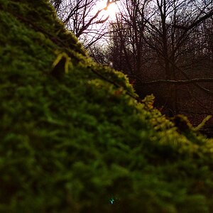IMG_20191228_135138-01.jpeg