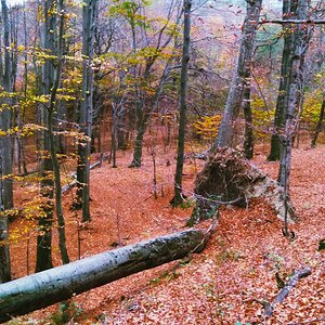 IMG_20200226_220557.jpg