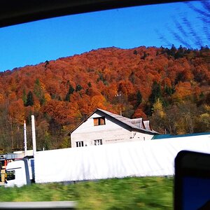 IMG_20200226_220611.jpg
