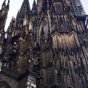 IMG_20200228_122136-01.jpeg