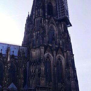 IMG_20200228_121857-01.jpeg