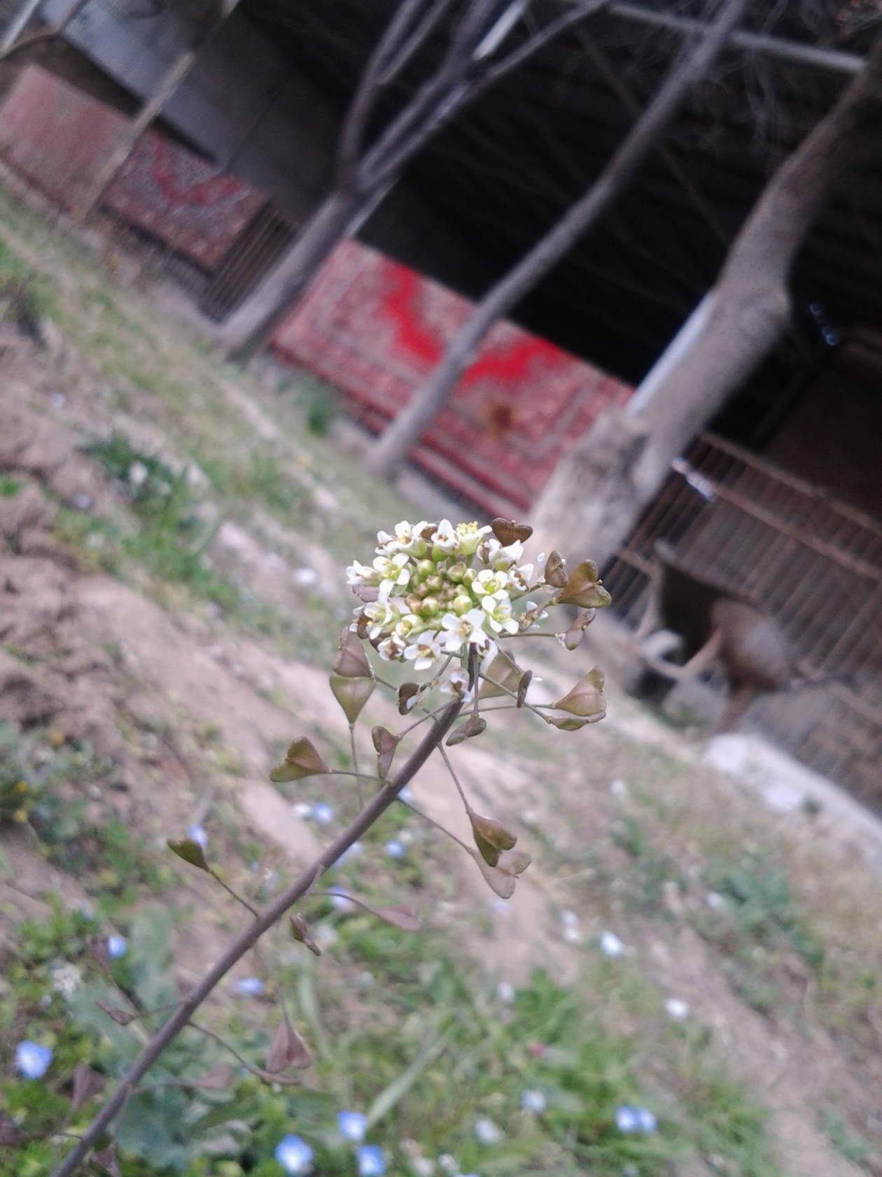 IMG_20191025_035814.jpg