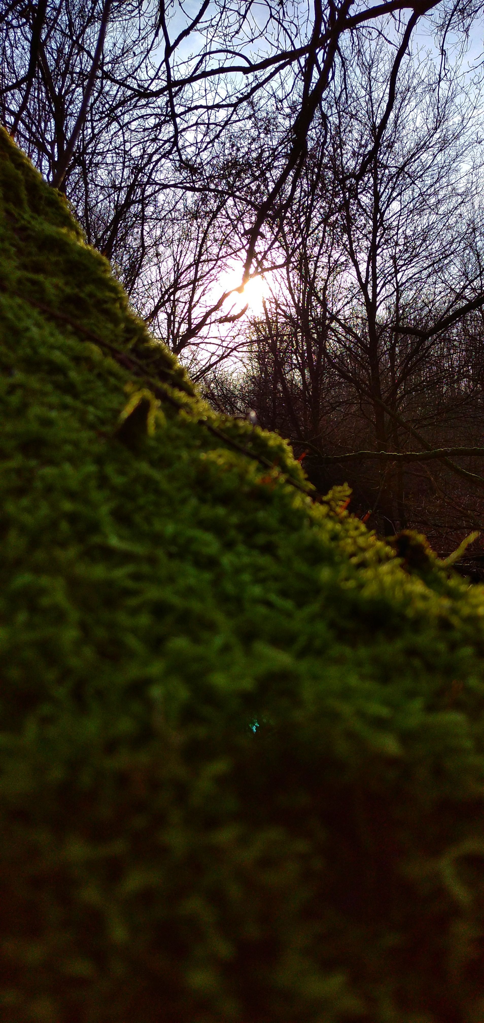 IMG_20191228_135138-01.jpeg