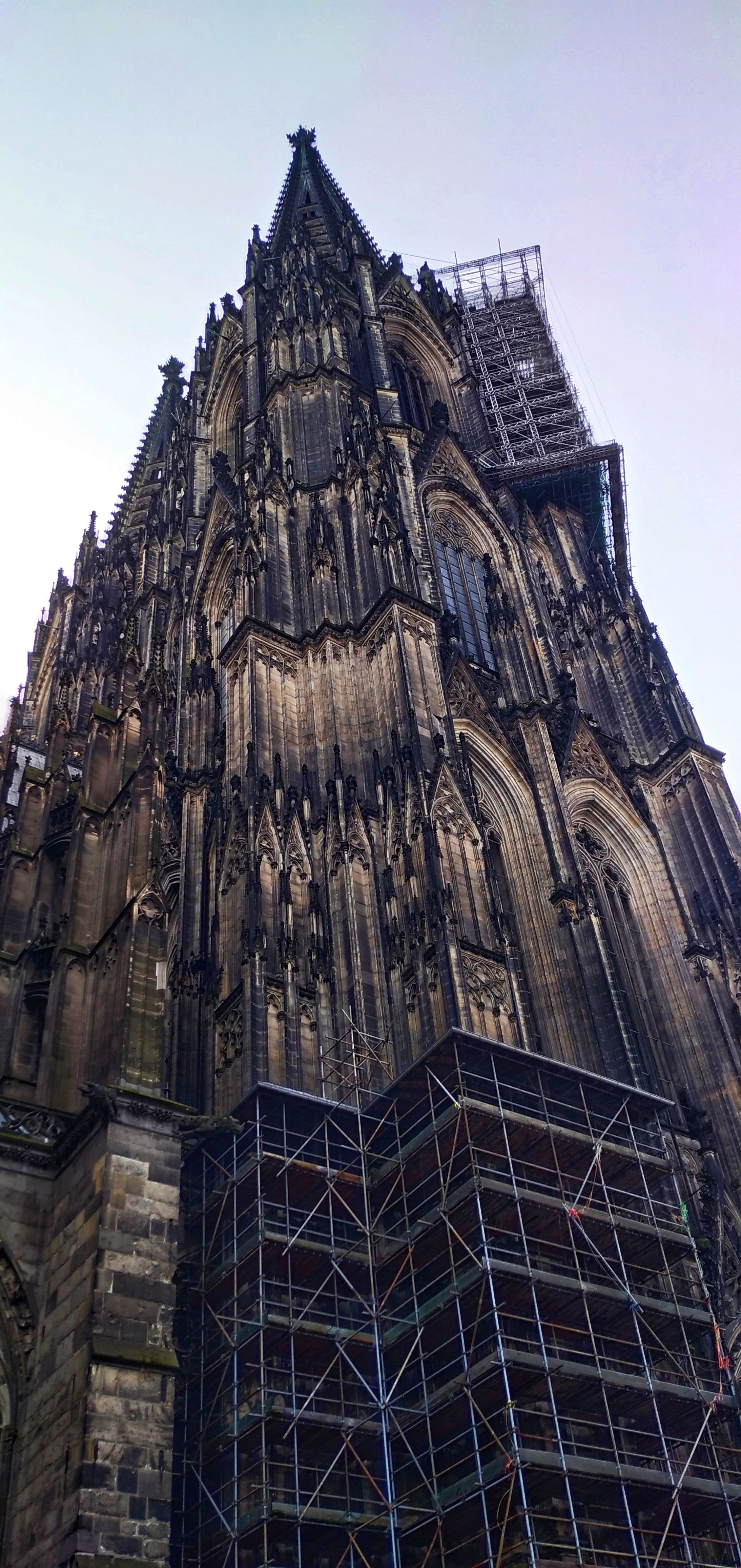 IMG_20200228_122018-01.jpeg