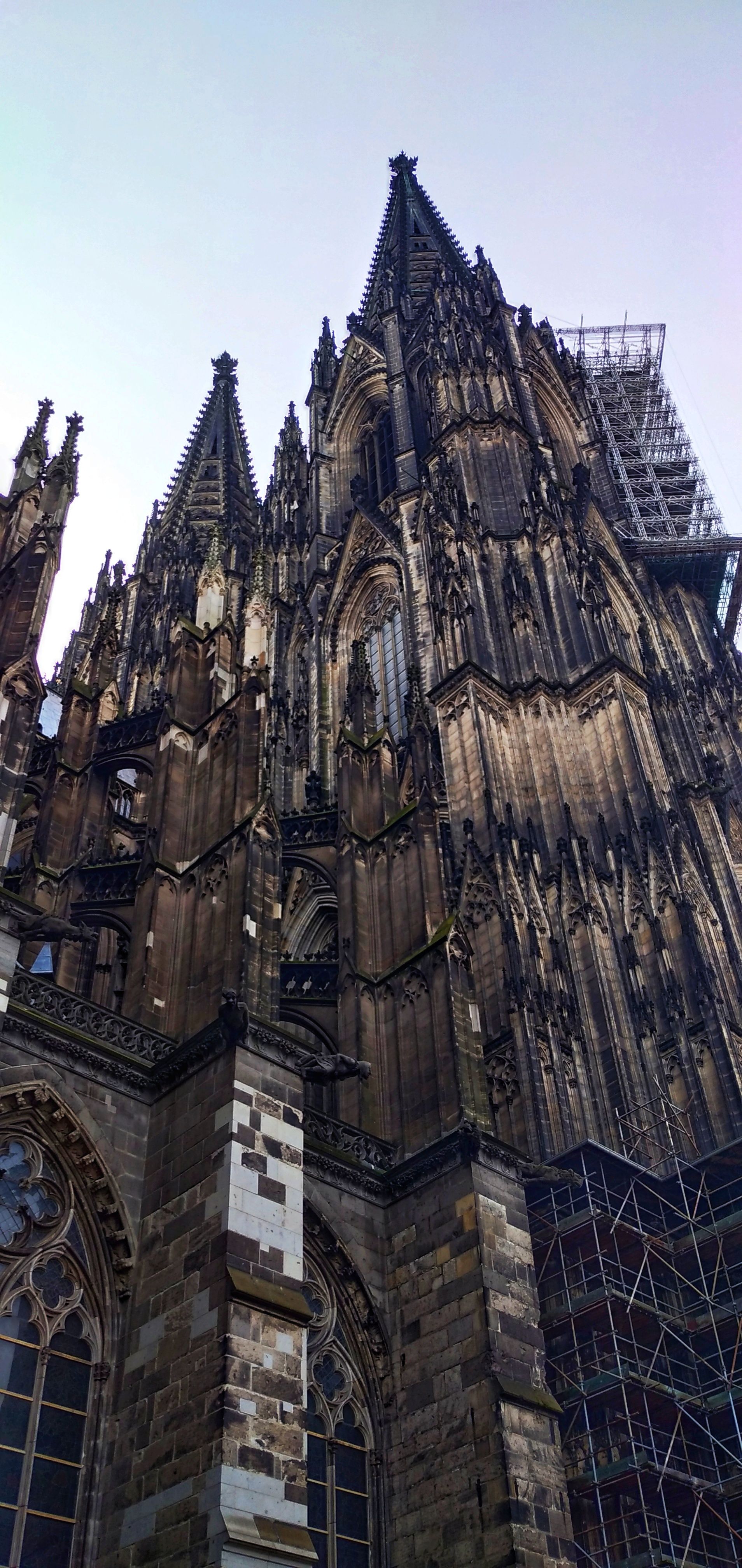 IMG_20200228_122136-01.jpeg
